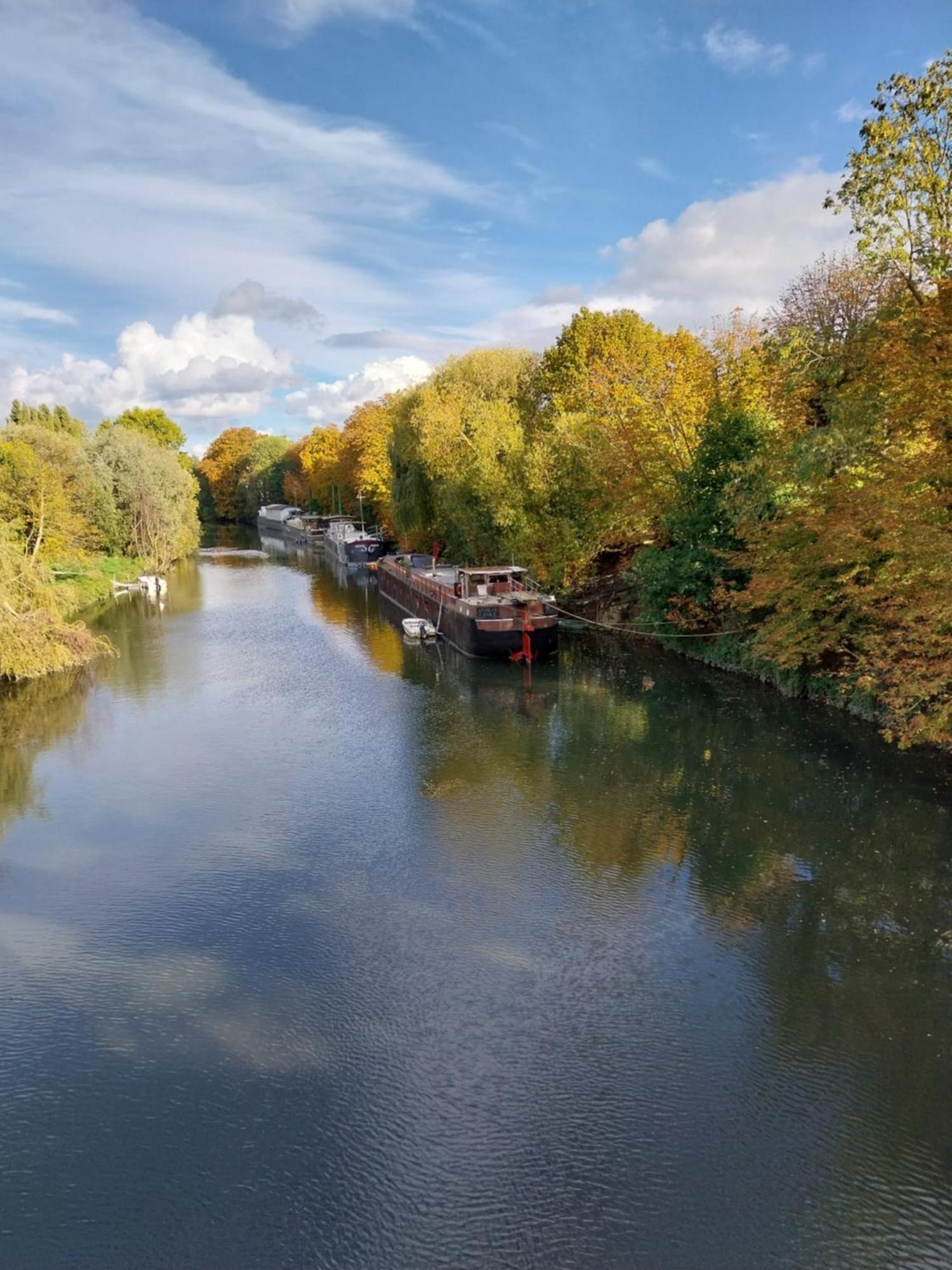 Les Seringats Poissy Extérieur photo