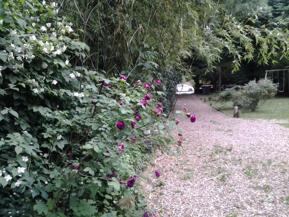 Les Seringats Poissy Extérieur photo